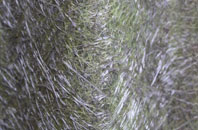 Old Wolverton fibreglass roof work